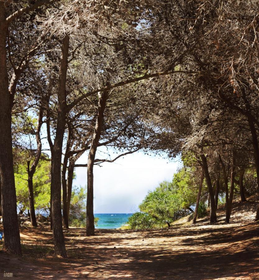 Appartamenti Rivabella D Gallipoli Dış mekan fotoğraf